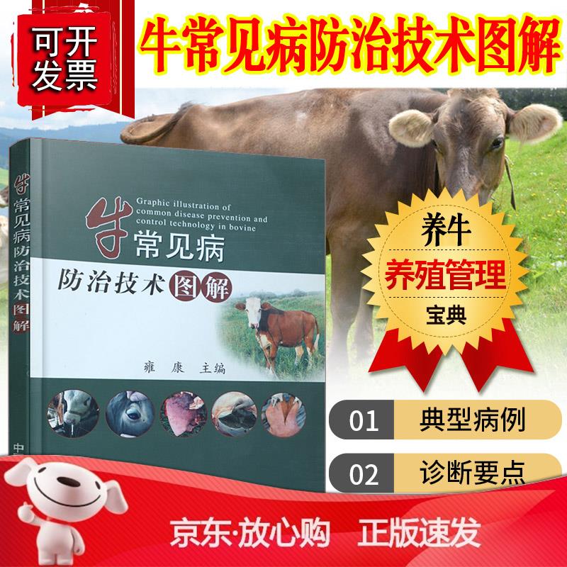 牛病治疗大全书籍 牛病类症鉴别与诊治书 