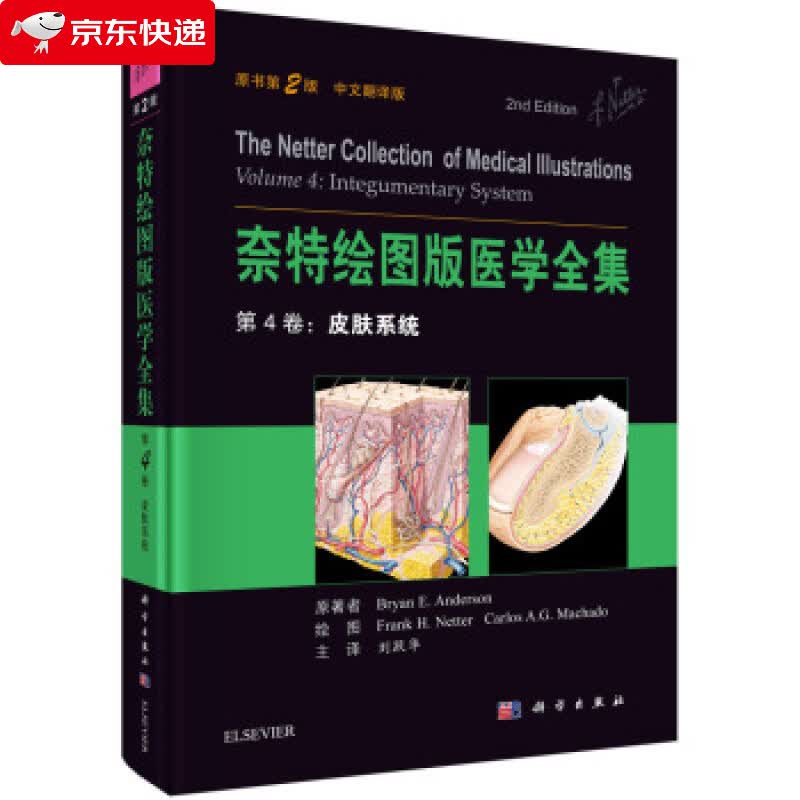 奈特绘图版医学全集 第4卷:皮肤系统 [美] 奈特 等 编,刘跃华 等 译
