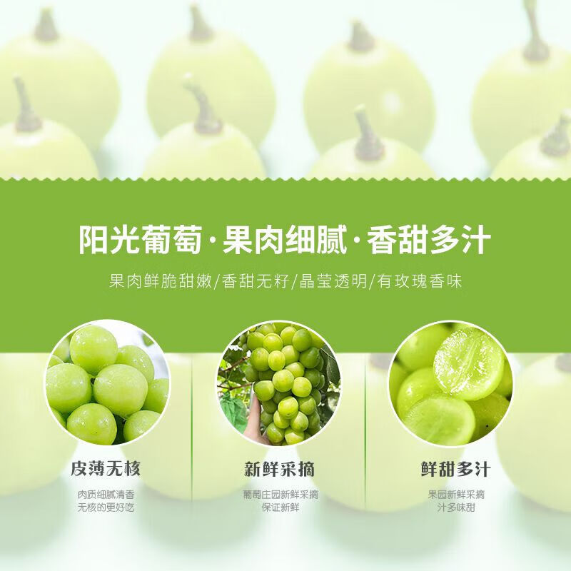 澧县出口特供阳光玫瑰葡萄新鲜香印提子有机水果孕妇当季生鲜礼盒 5斤冷链箱【精品串装】单果15g以上