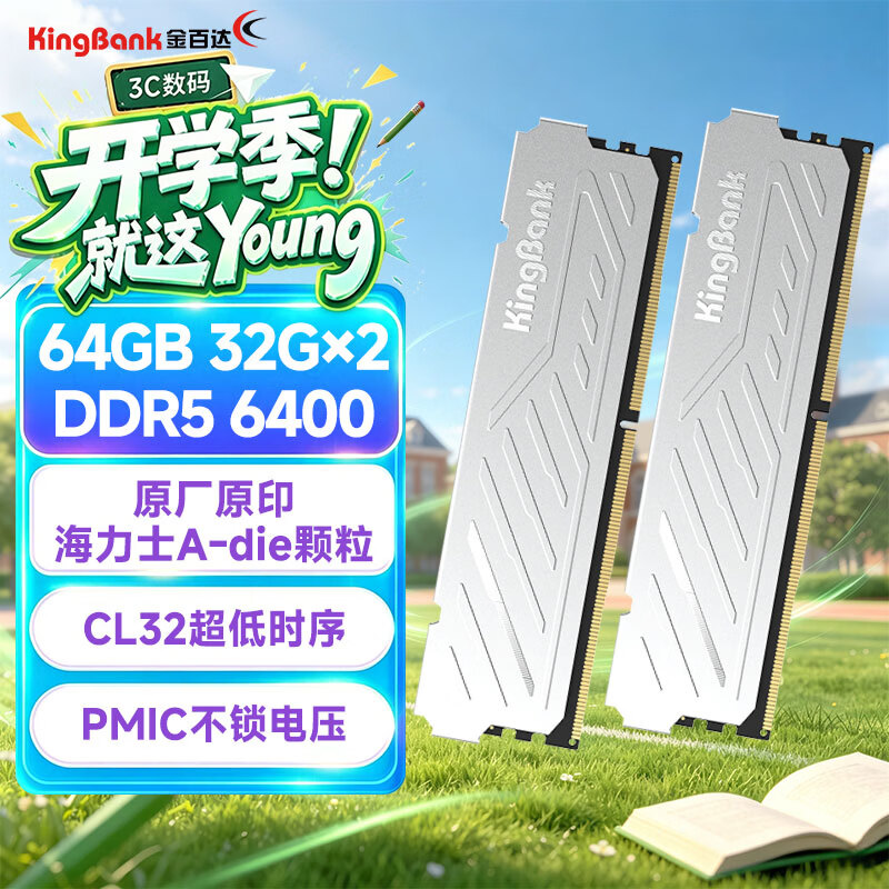 金百达（KINGBANK）64GB(32GBX2)套装 DDR5 6400 台式机内存条海力士A-die颗粒 银爵 C32 Deepseek硬件