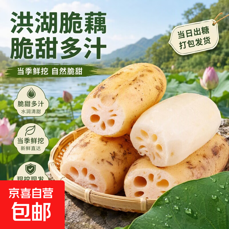 正宗湖北洪湖莲藕京东买菜火锅食材直播间生鲜蔬菜京东快递轻食 洪湖小脆藕5斤净重
