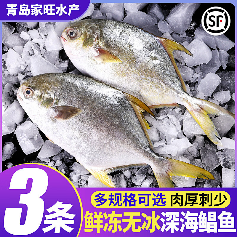 免处理金鲳鱼新鲜冷冻特大金昌鱼海鲳鱼深海鱼平鱼海鱼鲳鱼镜鱼整 500-600g/条(3条装)