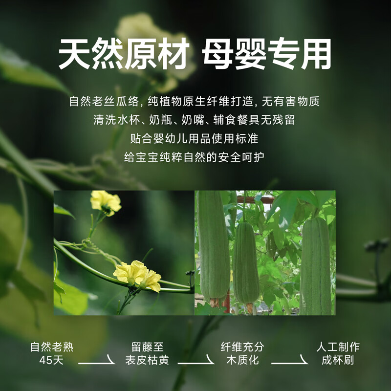 LUSN丝瓜络奶瓶刷儿童保温洗杯刷子清洁长柄刷宝宝水杯去污专用 【两个装】丝瓜络杯刷