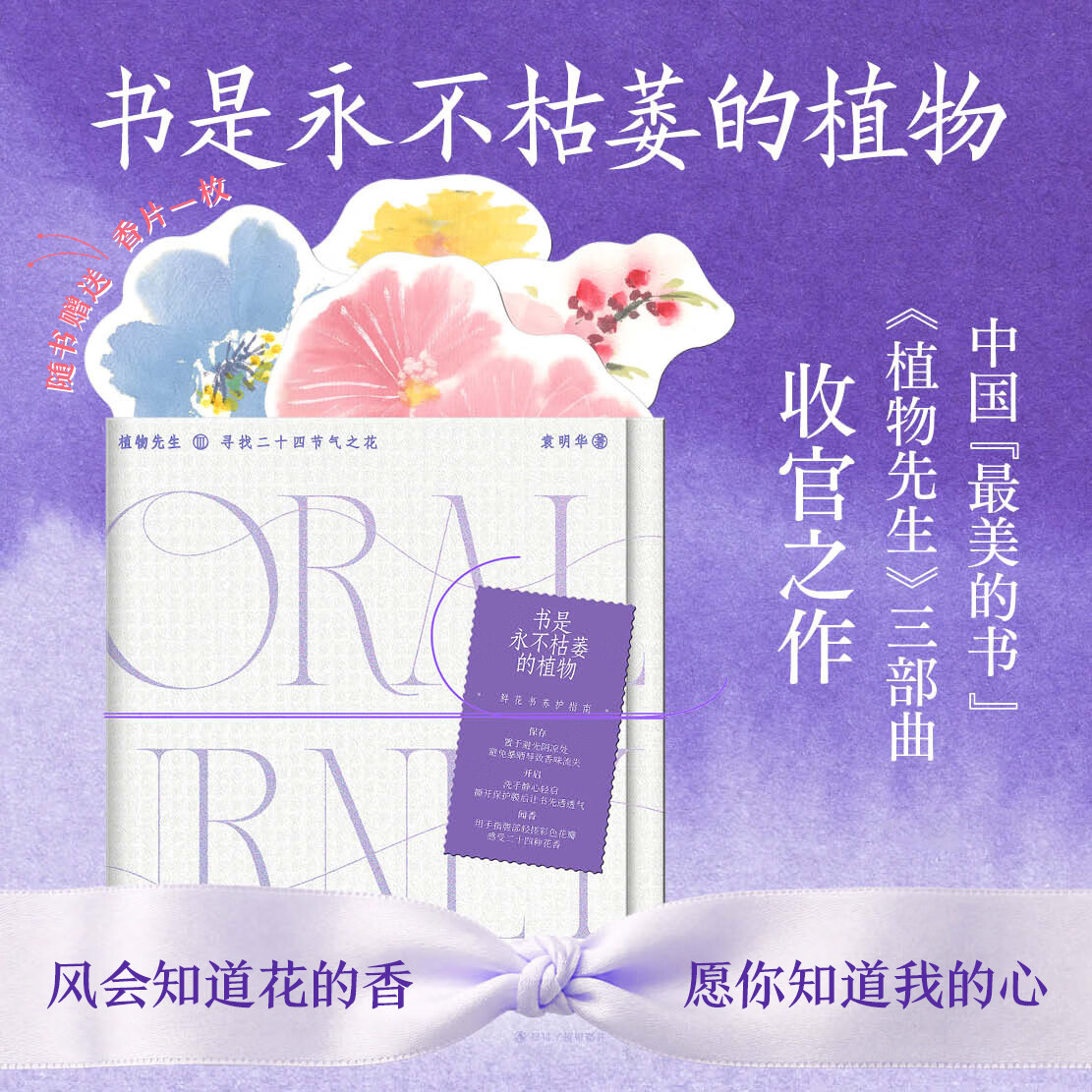 植物先生III：寻找二十四节气之花 袁明华著 正版正货 新华书店