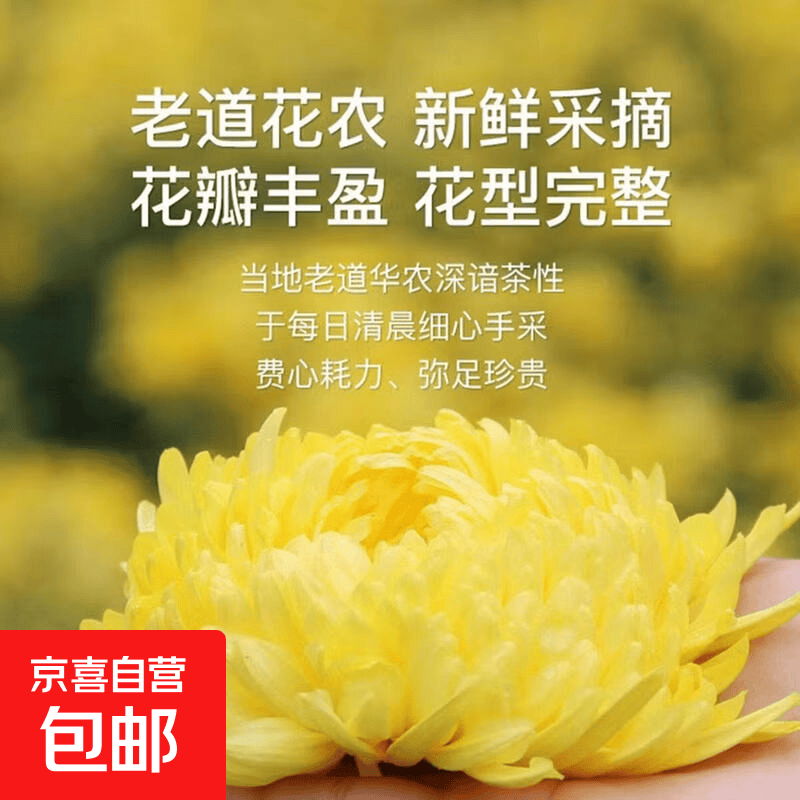 养生好物合集：金丝黄菊5.4元、荭糖姜块6.75元起，滋补润燥超划算