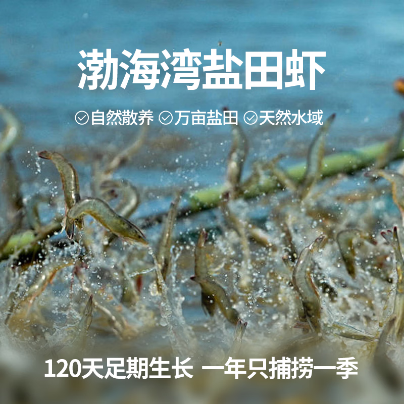 蜜蜂岛【有机熟虾 大规格盐田虾】26年捕捞季新虾熟冻 渤海水产白对虾 量贩 45-50只/斤 500g(净重)  袋*3（共1500g）