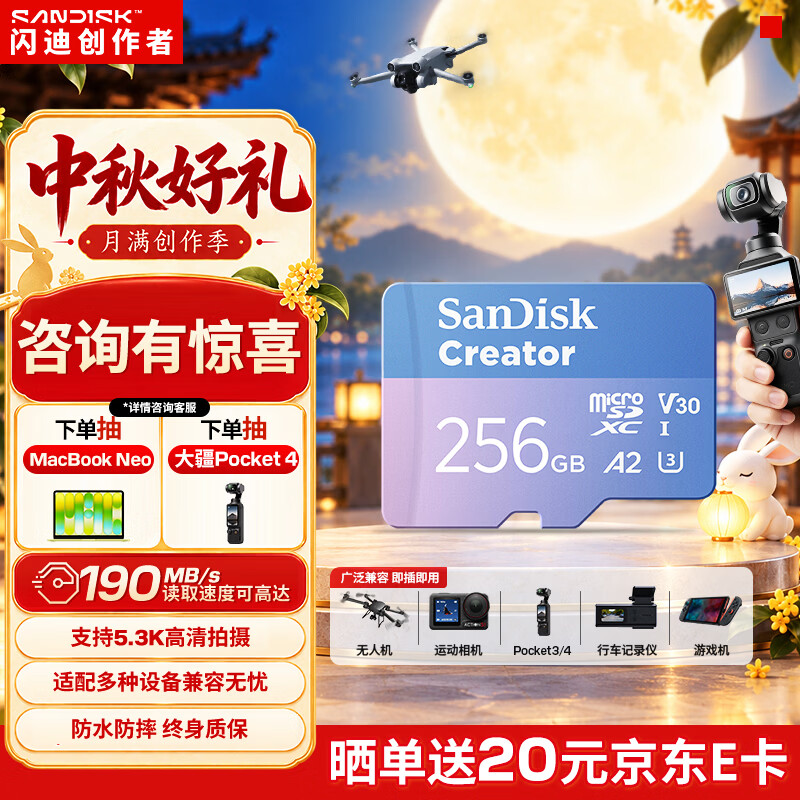 Sandisk闪迪创作者 闪迪内存卡tf卡 大疆pocket4内存卡 运动相机无人机存储卡 V30极速粉卡 256GB 官方标配
