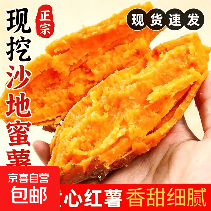 现挖沙地蜜薯红薯新鲜农家糖心番薯烤地瓜软糯批发黄心包邮 河南沙地蜜薯5斤装净重 大果