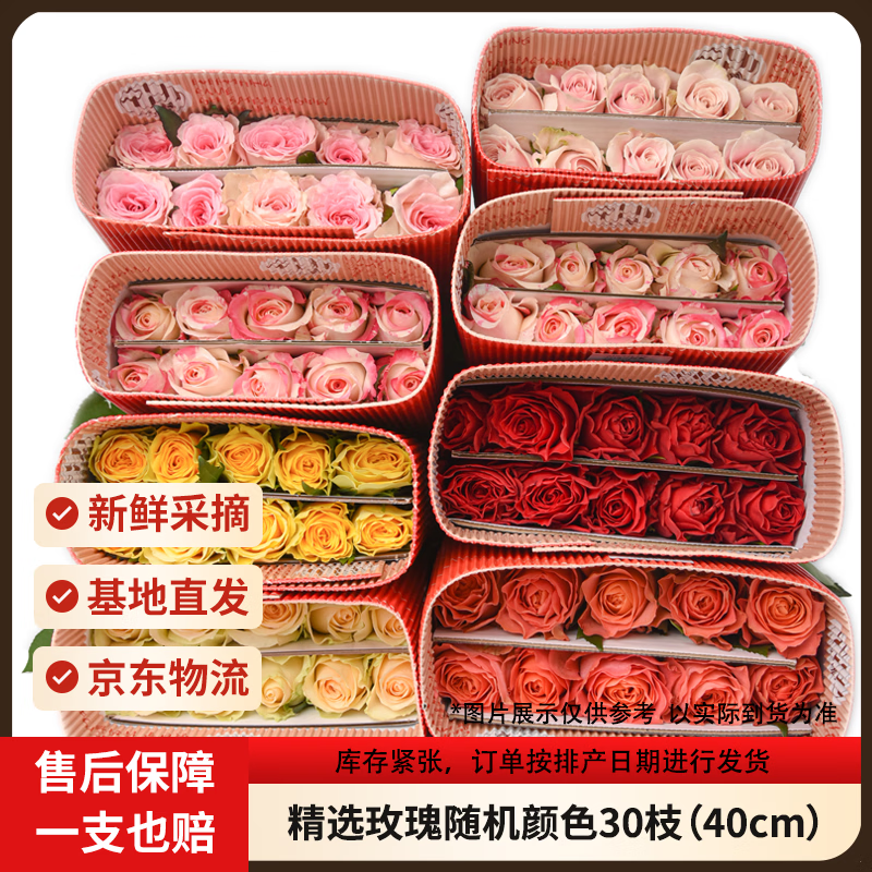 京东鲜花随机色系玫瑰30枝40cm(2-3配色)山东新鲜现采送礼物悦己源头直发