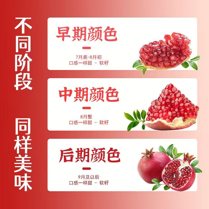 会理突尼斯软籽石榴 新鲜水果生鲜 极速达 中秋礼物 带箱5斤单果300g+