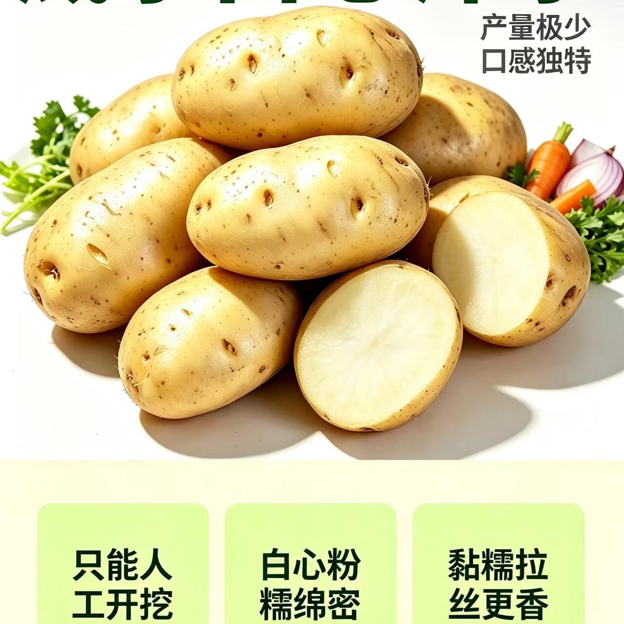 贵州白心土豆《10斤装试吃装》农家老品种粉糯拉丝现挖洋芋无农药 10斤 精品大果