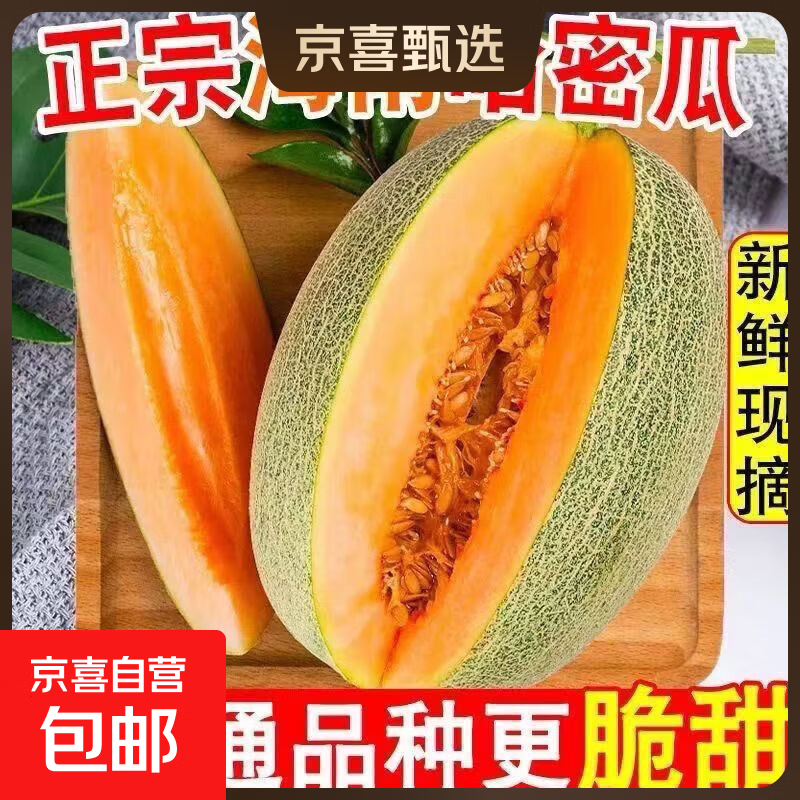 头茬哈密瓜山东蜜瓜甜瓜香瓜金红宝整箱产地直发 蜜瓜带箱5-6斤1-2粒(净重4.5斤+)