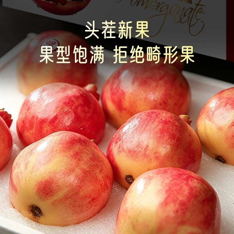 勇者无惧【正宗】四川会理突尼斯软籽石榴现摘现发当季孕妇水果中秋送礼 6枚礼盒装+礼袋【稀缺果王0.8-1斤】内置珍珠棉