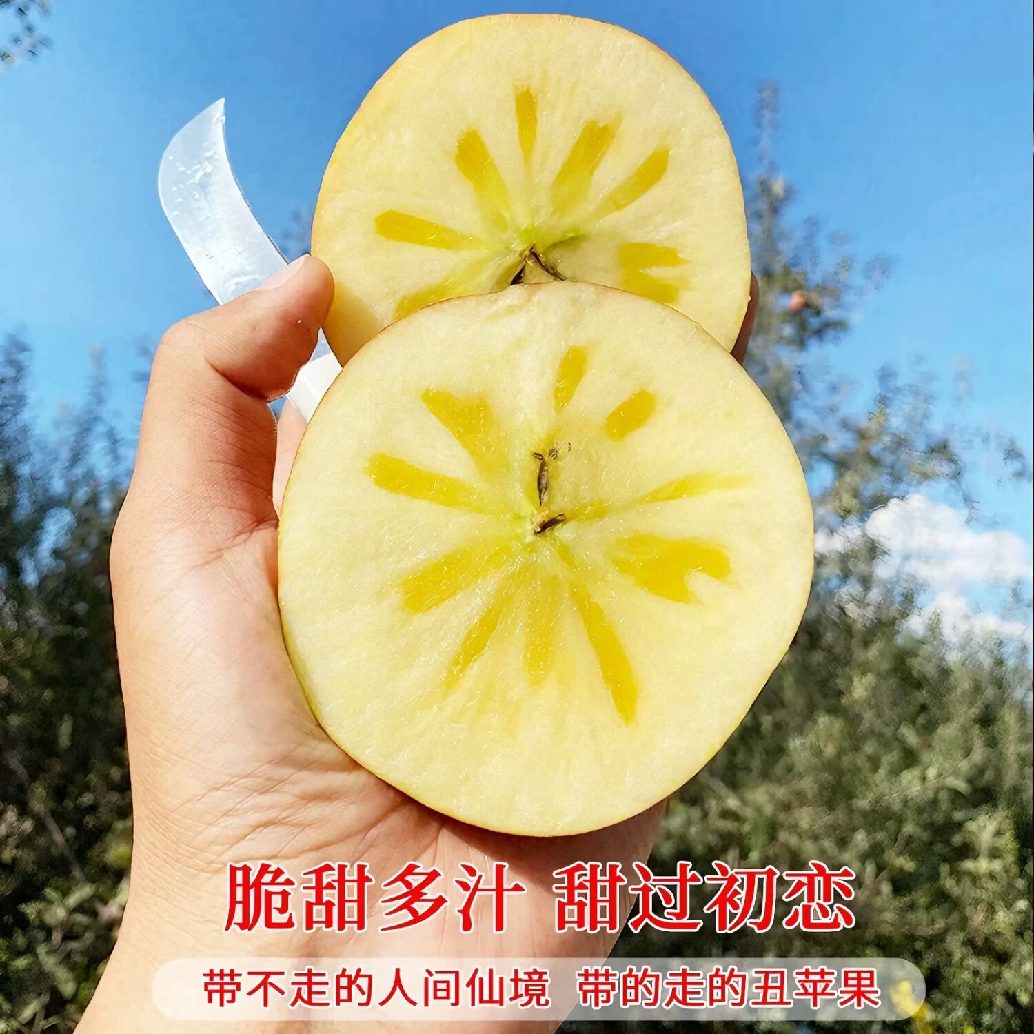 正宗云南昭通冰糖心苹果【多地隔日达】脆甜多汁源头直发送礼首选 5斤【精挑果-70mm起】净重4.5斤
