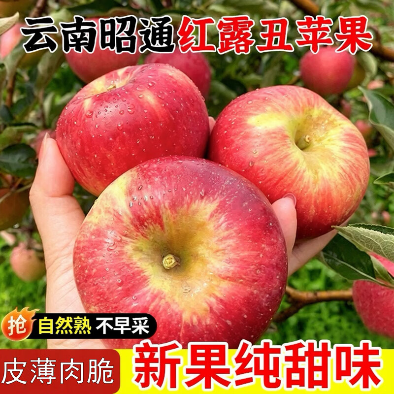 贡鲜果农 云南昭通红露苹果小果 拍下 22.9元 得净重4.5-5斤 - 86线报
