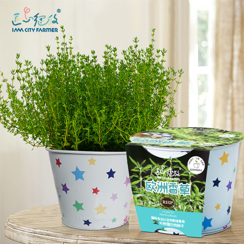 怎么看京东绿植盆栽商品历史价格|绿植盆栽价格比较