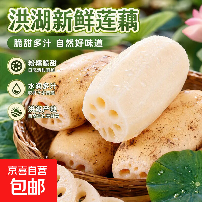 【东东买菜】2026新鲜现挖莲藕农家自种当季水果鲜藕超市买菜蔬菜 精品莲藕-5斤 净重