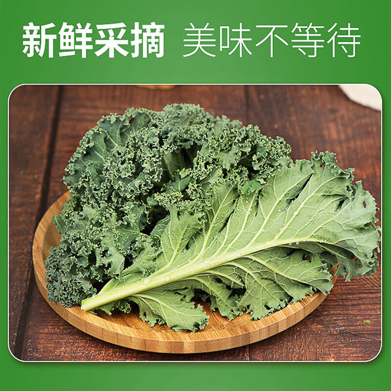 羽衣甘蓝新鲜嫩叶【】2斤轻食沙拉西餐榨汁基地直发 2000g