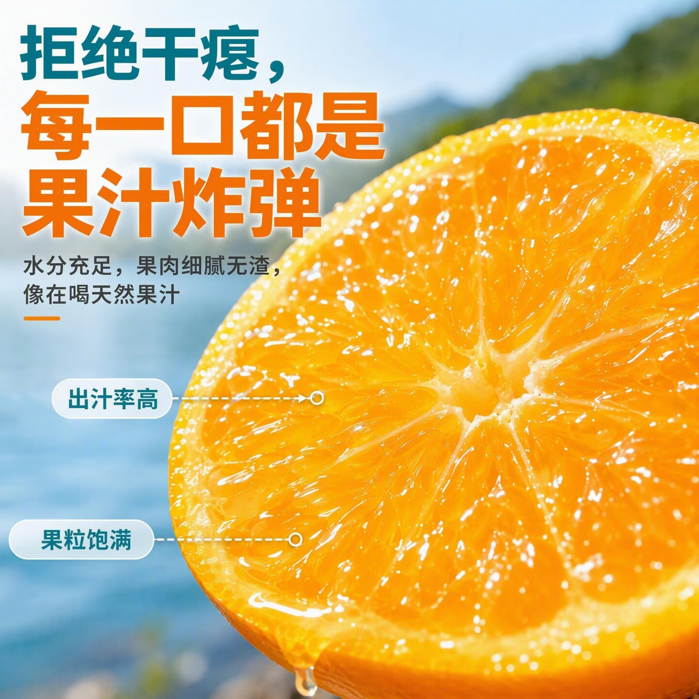 正宗湖南东江湖蜜桔郴州资兴清江蜜橘子现摘新鲜水果JD快递直发 精品大果5斤(果径60-65mm)
