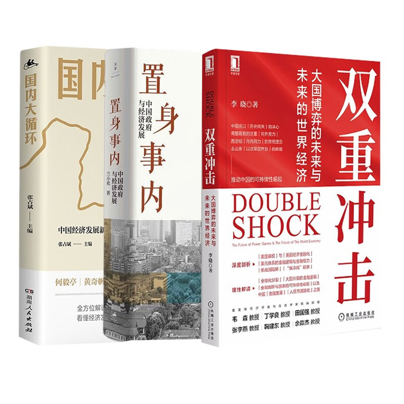 解读经济三册 双重冲击+置身事内+国内大