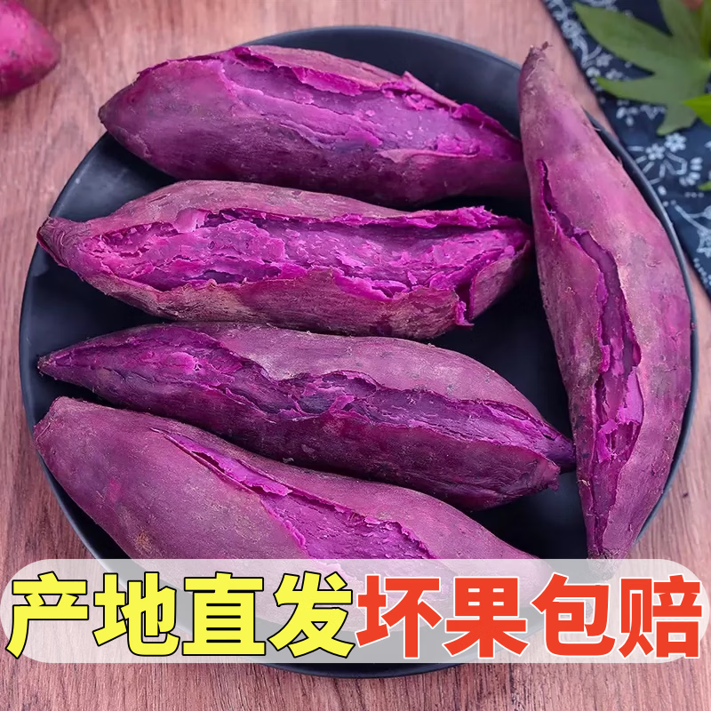 黄六爷正宗沙地紫罗兰紫薯农家自种新鲜番薯软糯香甜宝宝辅食产地直发 精选果5斤(实惠好享) 单果100-250g
