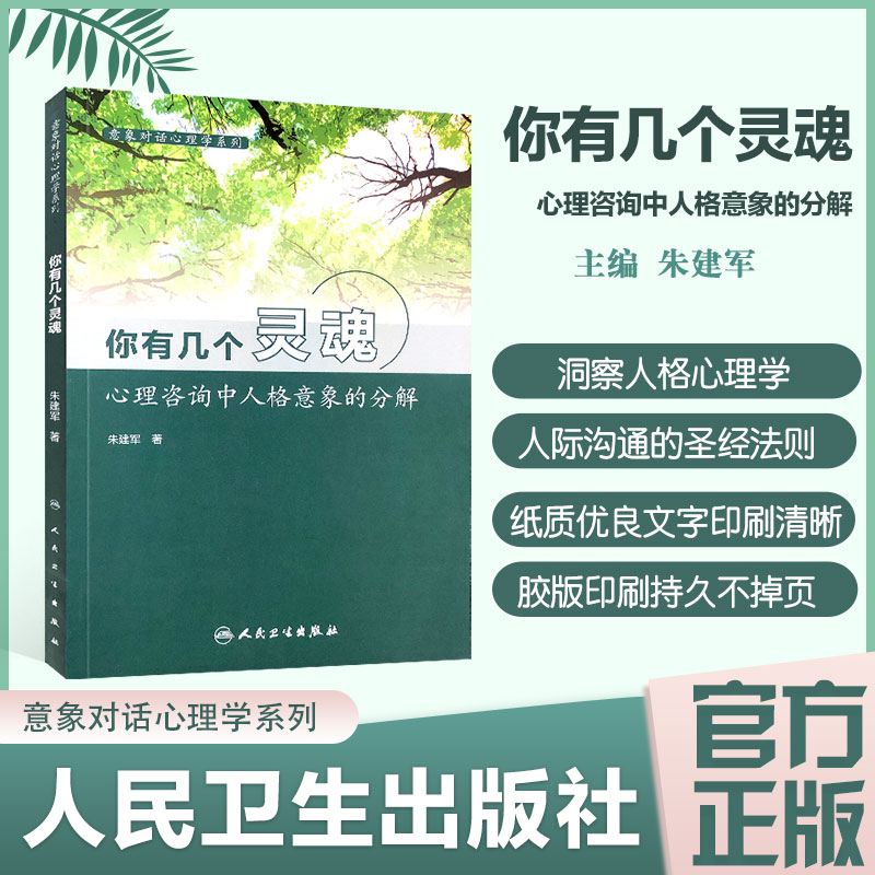 你有几个灵魂 心理咨询中人格意象的分解 意象对话心理学系列 人民卫生出版社