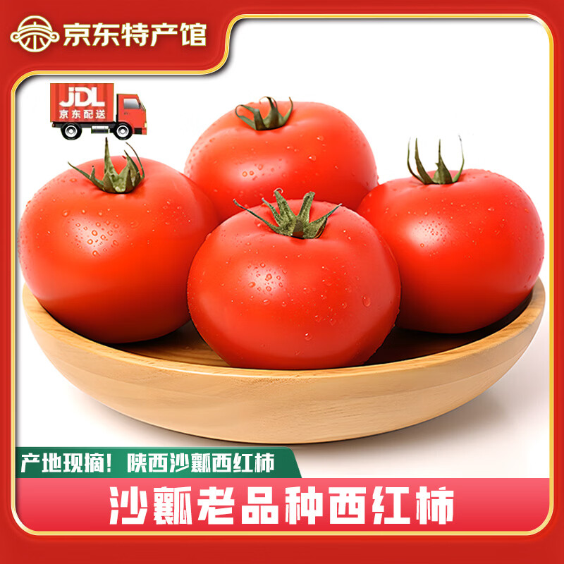 秦品堂陕西露天沙瓤老品种西红柿【顺丰包邮】生吃沙瓤番茄西红柿自然熟 【顺丰】沙瓤西红柿中果 5斤 (净重4.5-5斤)约12-16枚