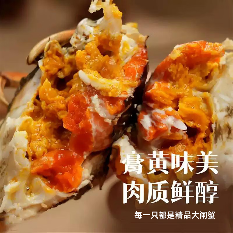 【活蟹】优鲜鸟中秋礼盒全母大闸蟹现货鲜活满黄螃蟹送礼礼盒装 母蟹2-2.3两(6只装)【精品礼盒】