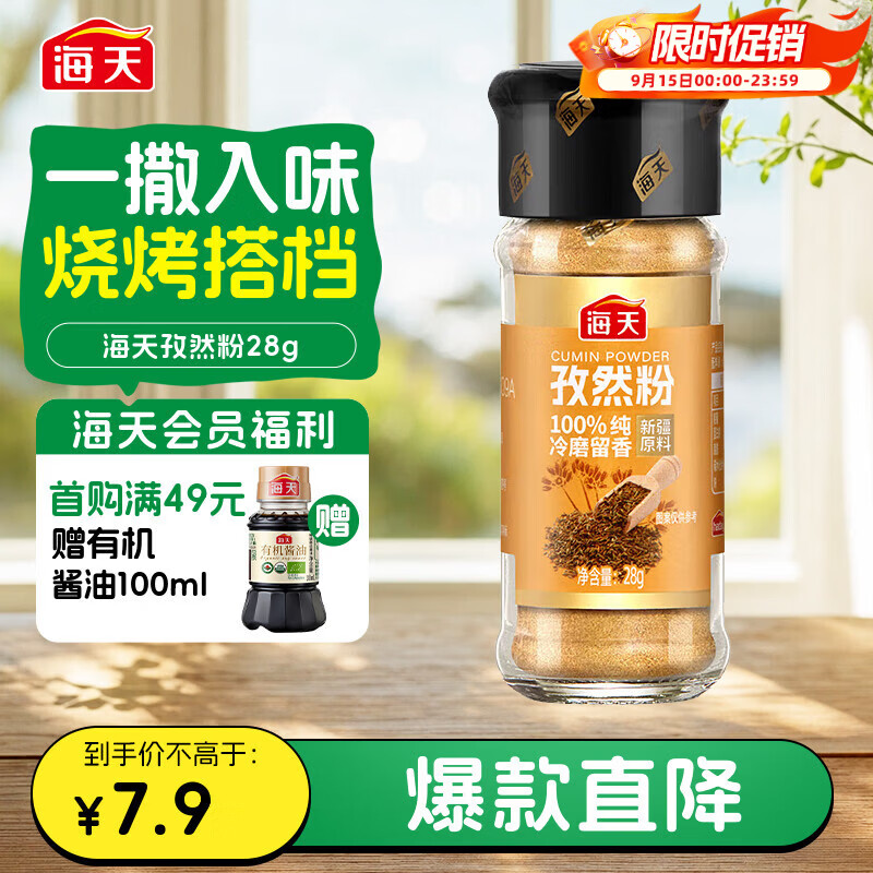 海天 孜然粉28g 纯孜然研制 新疆烧烤料烤肉烤串撒料香辛料调料