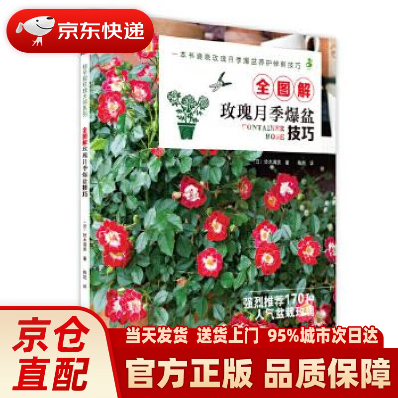 【新华正版图书】全图解玫瑰月季爆盆技巧 铃木满男 湖北科学技术出版社