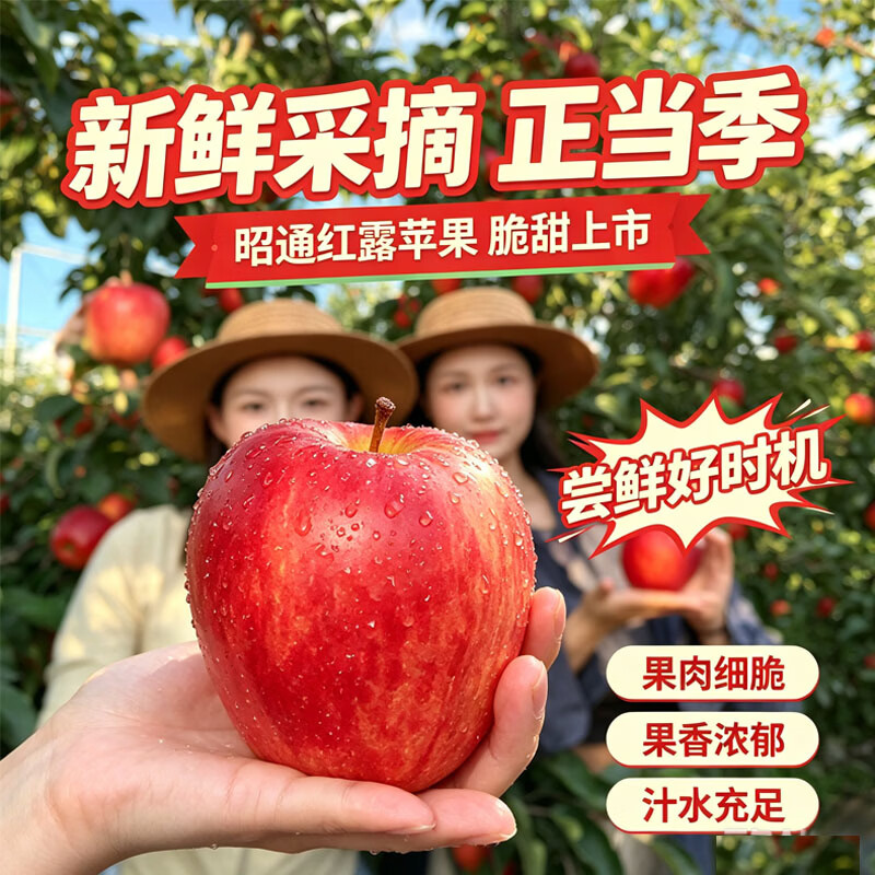 中秋送礼红露苹果礼盒新鲜红露云南昭通丑苹果新鲜采摘冰糖心水果 红露苹果4.5斤（箱未满量已足 论斤不论个） 80g+（1斤小果 不推荐）泡沫托+彩箱+网套发货