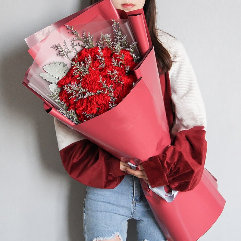 配送康乃馨花束鲜花速递祝福礼物送花无私母爱 19朵红色康乃馨花束