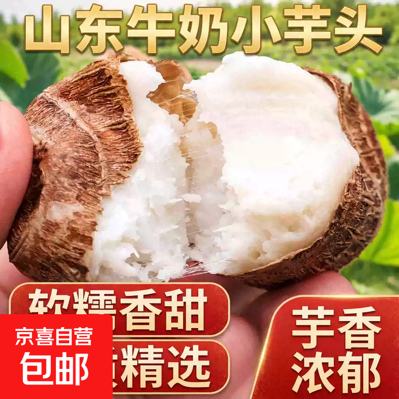 【东东买菜】正宗山东牛奶小芋头毛芋头芋艿香糯新鲜现挖蔬菜 牛奶芋头带箱2斤