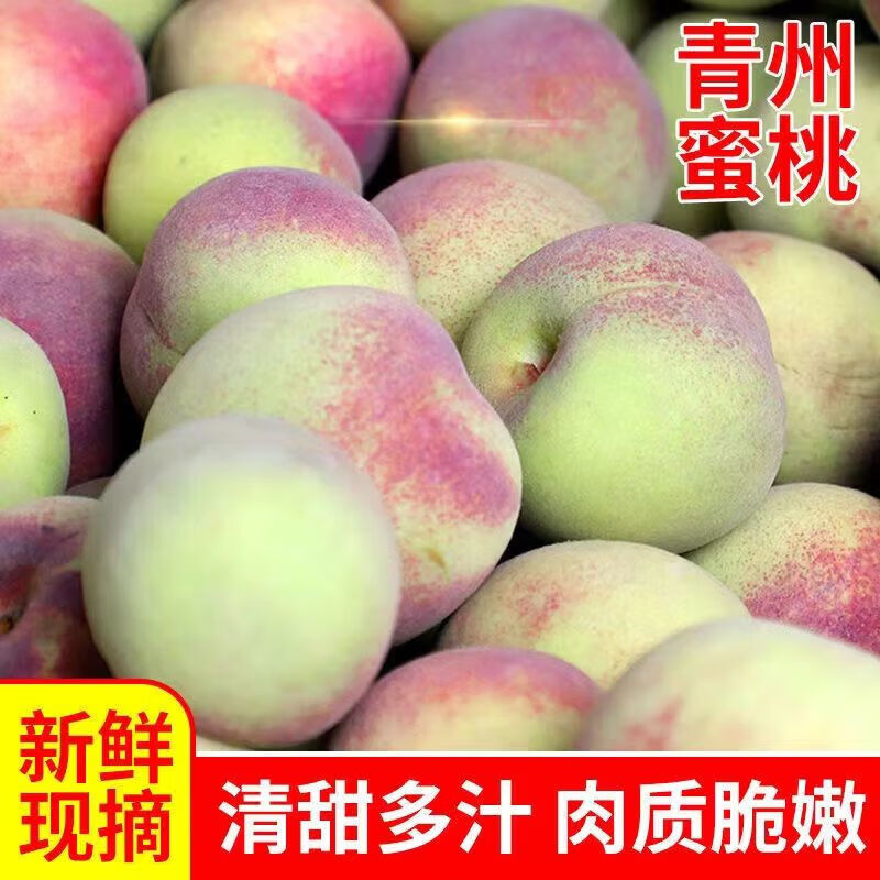 现摘山东青州蜜桃5斤当季新鲜桃子脆甜毛桃应季时令水果离核整箱 精选1斤装