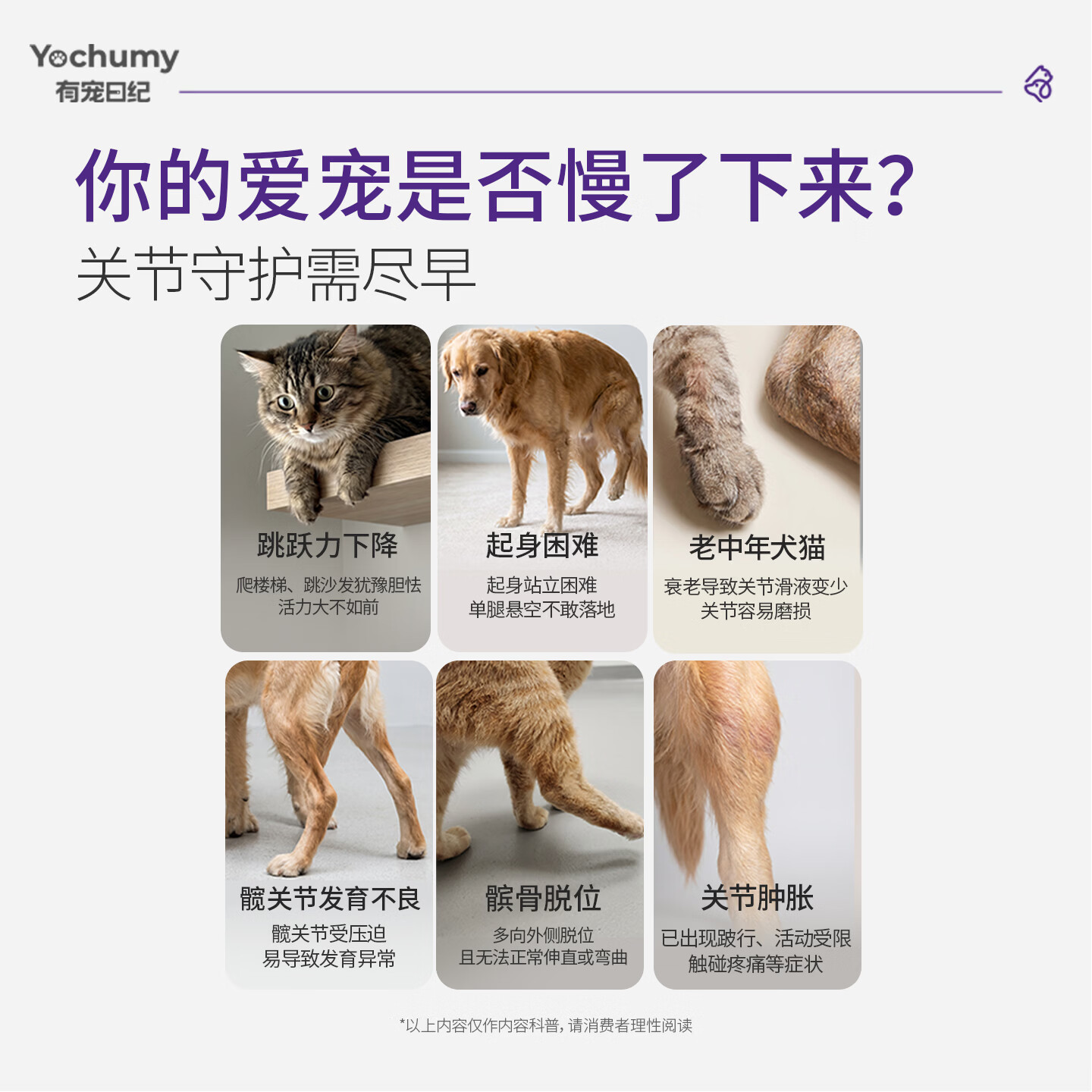 有宠日纪姜黄鲨鱼软骨素软颗粒 呵护猫咪狗狗关节 滋养软管 宠物营养补充 正装（150g 1.2g*125粒）