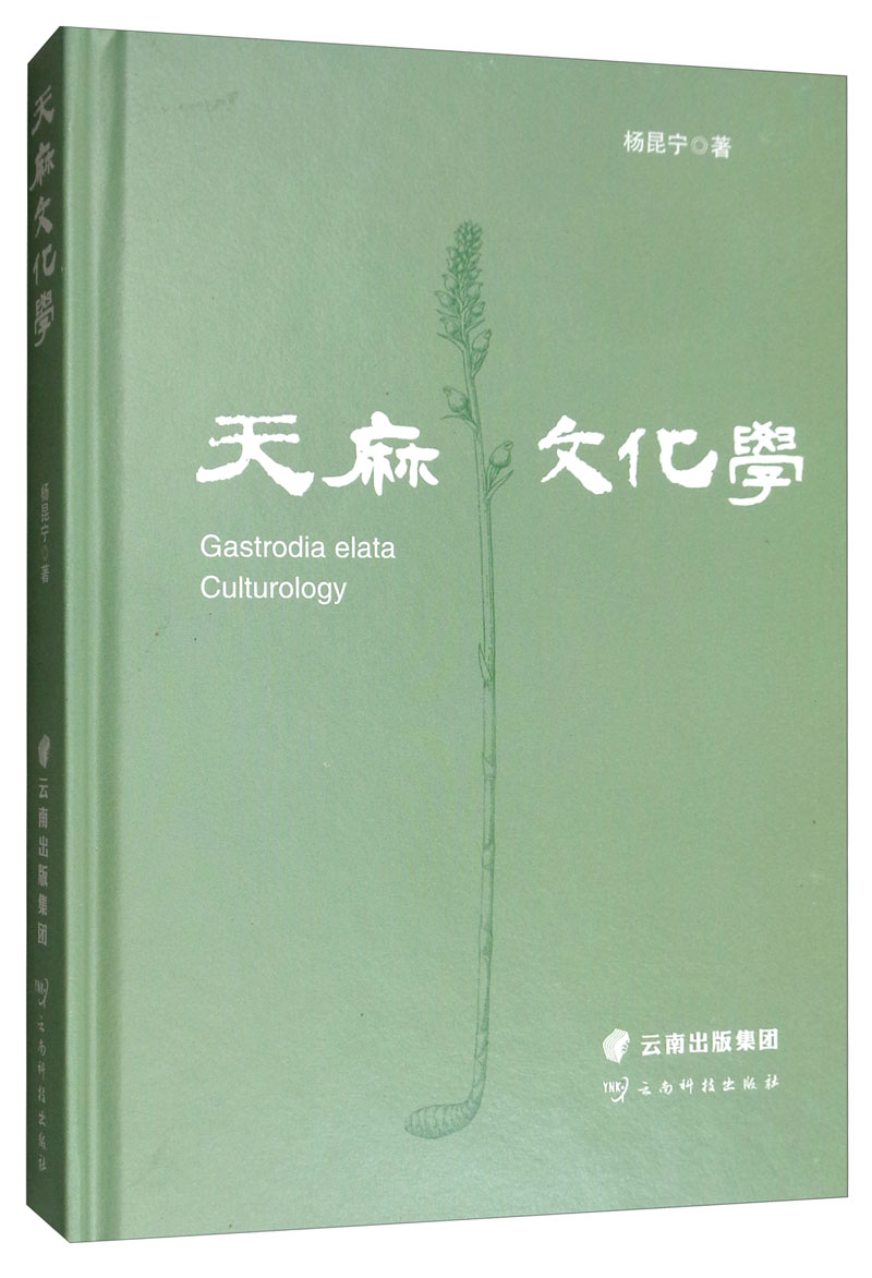 天麻文化学