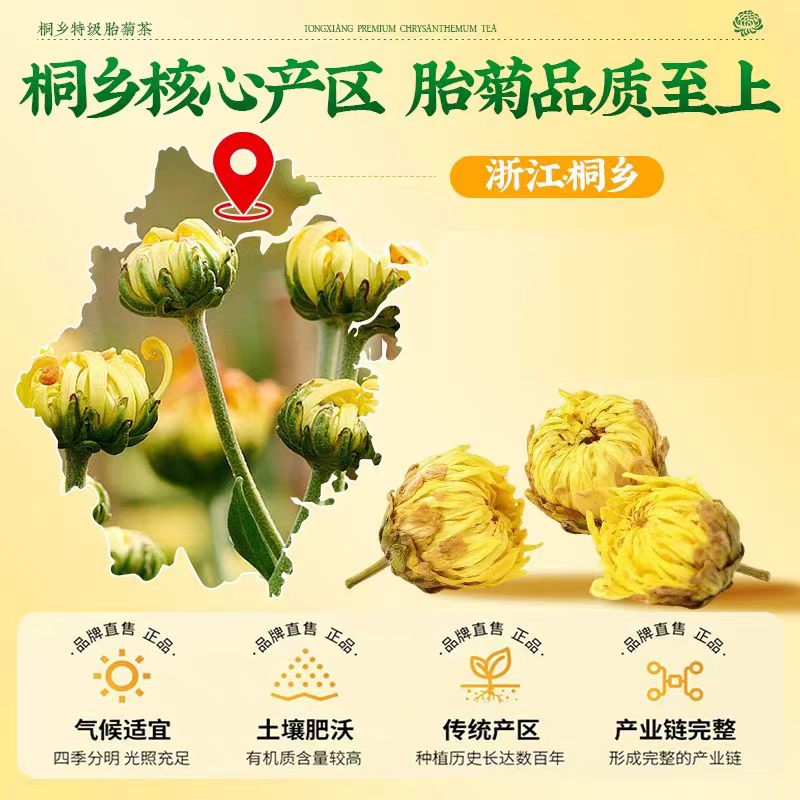 同仁堂正品特级头茬无熏硫胎菊王护肝去火清热解毒熬夜口干菊花泡水养生 特级胎菊王 130g*2罐