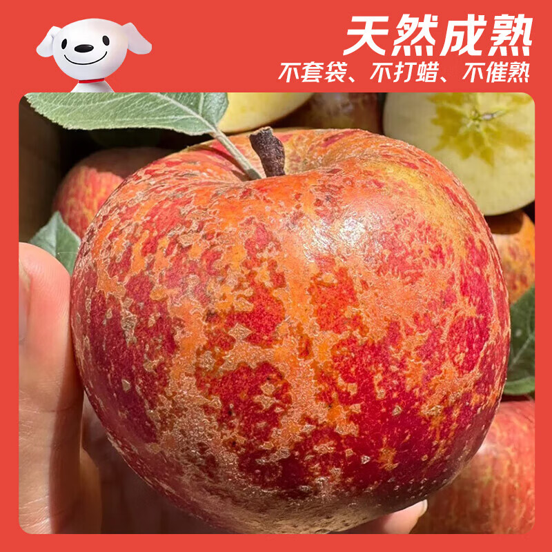图 7