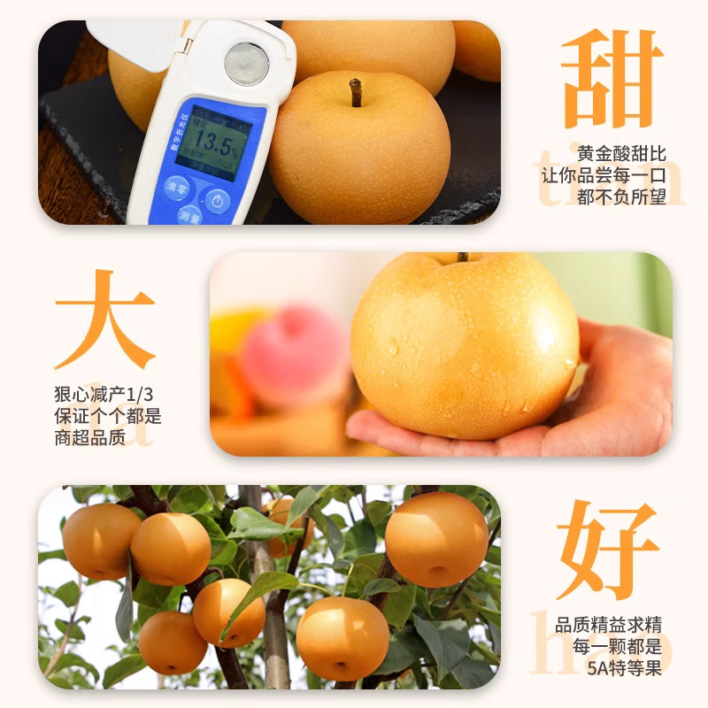 京农超正宗秋月梨山东莱阳羊脂秋月梨新鲜孕妇水果丰水冰糖梨水果生鲜 【核心产区】净重4.5斤精品果【单果约200g+】