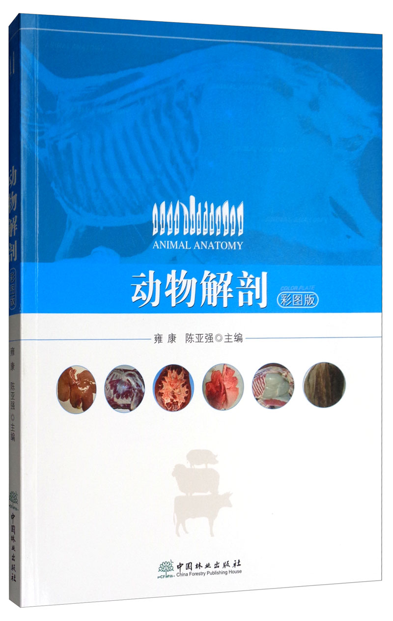 动物解剖(彩图版)