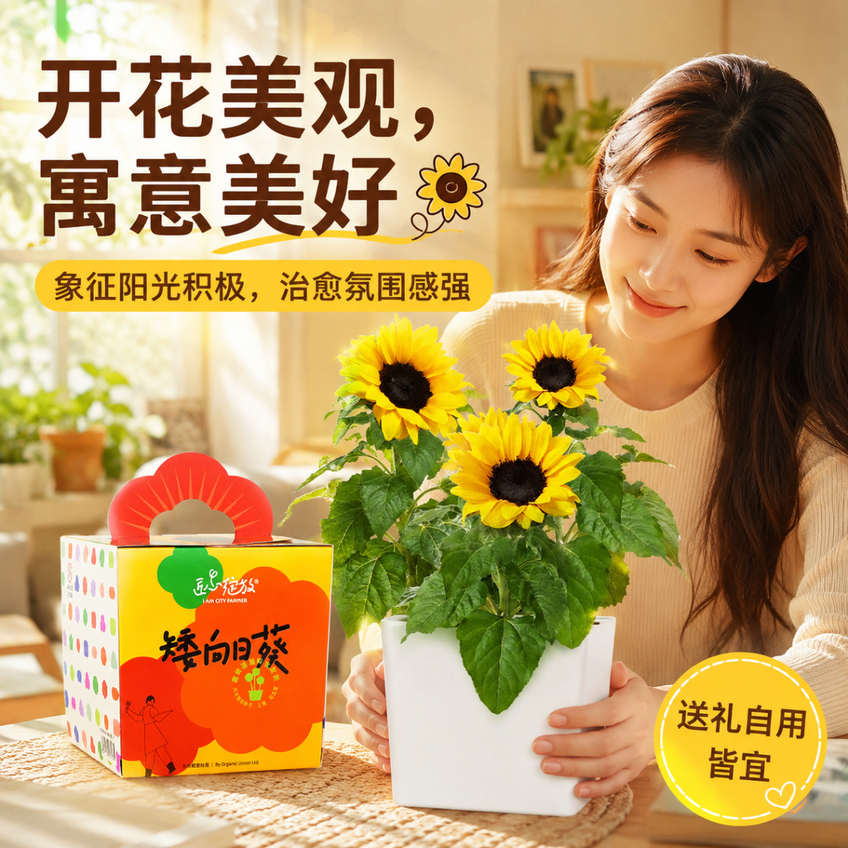 IAM City Farmer矮向日葵DIY儿童种植小盆栽种子植物盆栽幼儿园绿植趣味观察 【矮生向日葵】套装 含盆含土含种子