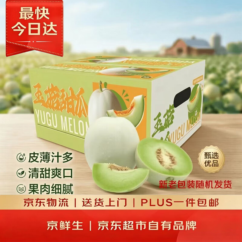 京鲜生 玉菇甜瓜2粒装 单果重2-2.8斤净重4-5.5斤 生鲜水果中秋礼盒