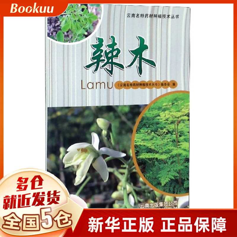 辣木/云南名特药材种植技术丛书