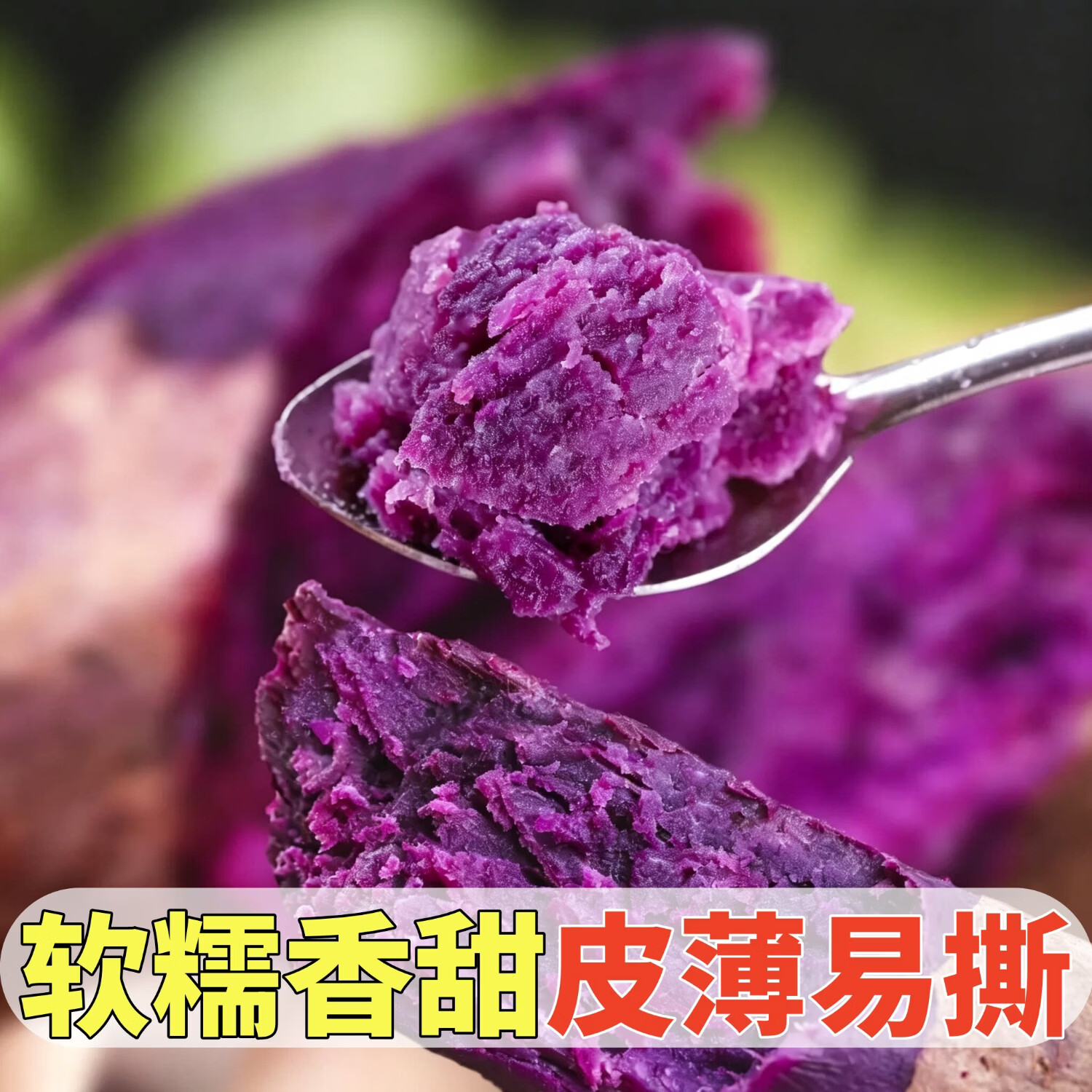 黄六爷正宗沙地紫罗兰紫薯农家自种新鲜番薯软糯香甜宝宝辅食产地直发 精选果5斤(实惠好享) 单果100-250g