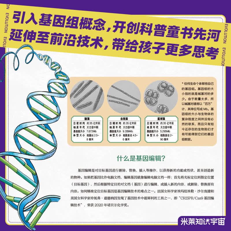 大演化：38亿年地球生命奇迹  尹烨给孩子的生命科普书 地球上的每个生命，生而荣耀详情图