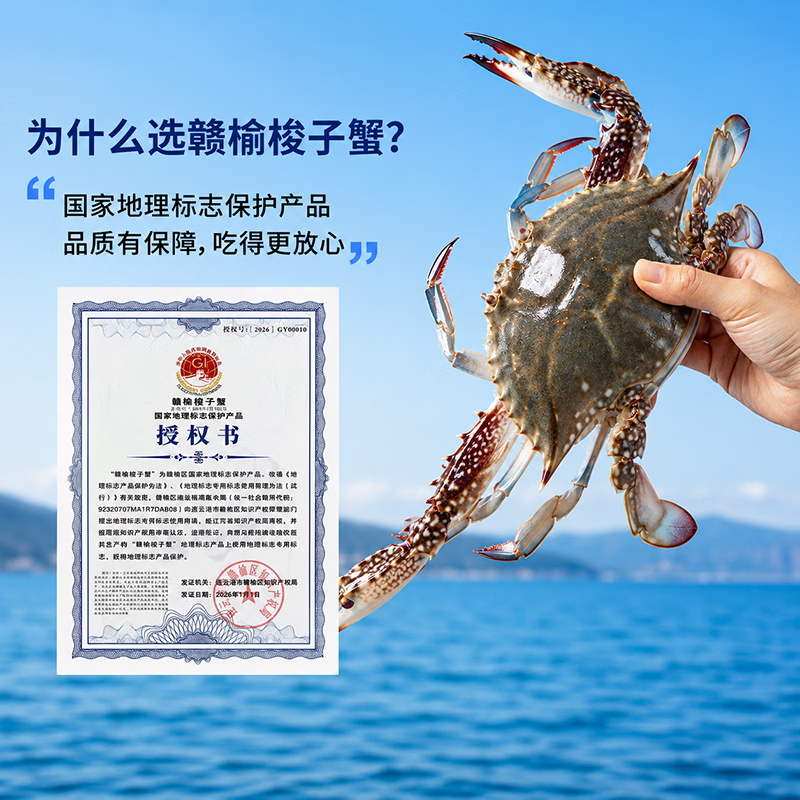 【冷冻】赣榆海鲜新鲜梭子蟹鲜活冷冻大螃蟹水产野生飞白蟹 3-4两/只 3斤装
