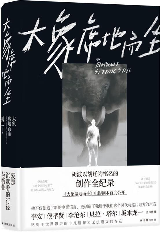 大象席地而坐 胡迁