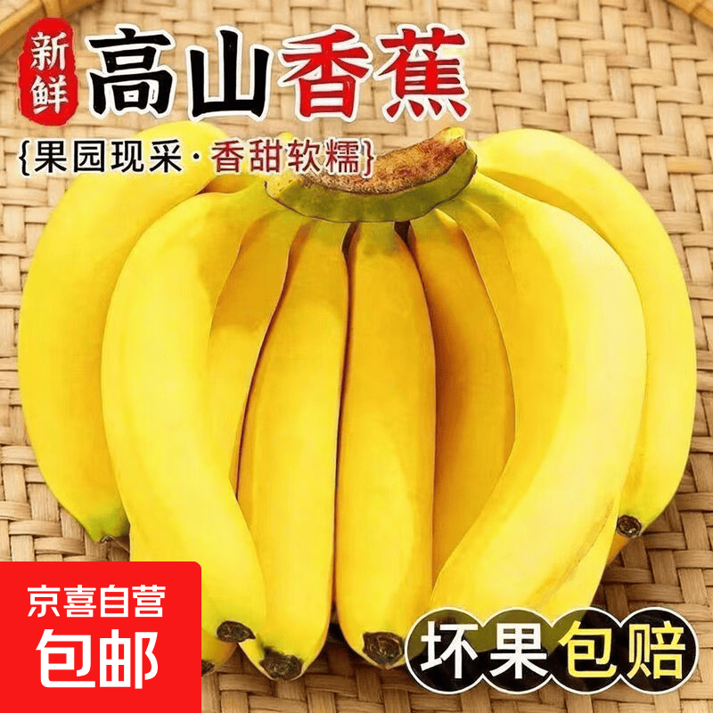 京喜加广东本地香蕉香甜软糯海边种植孕妇老人小孩都爱吃产地直发 全家吃到爽超划算整箱8斤中果 回家自己催熟更安心 香甜软糯