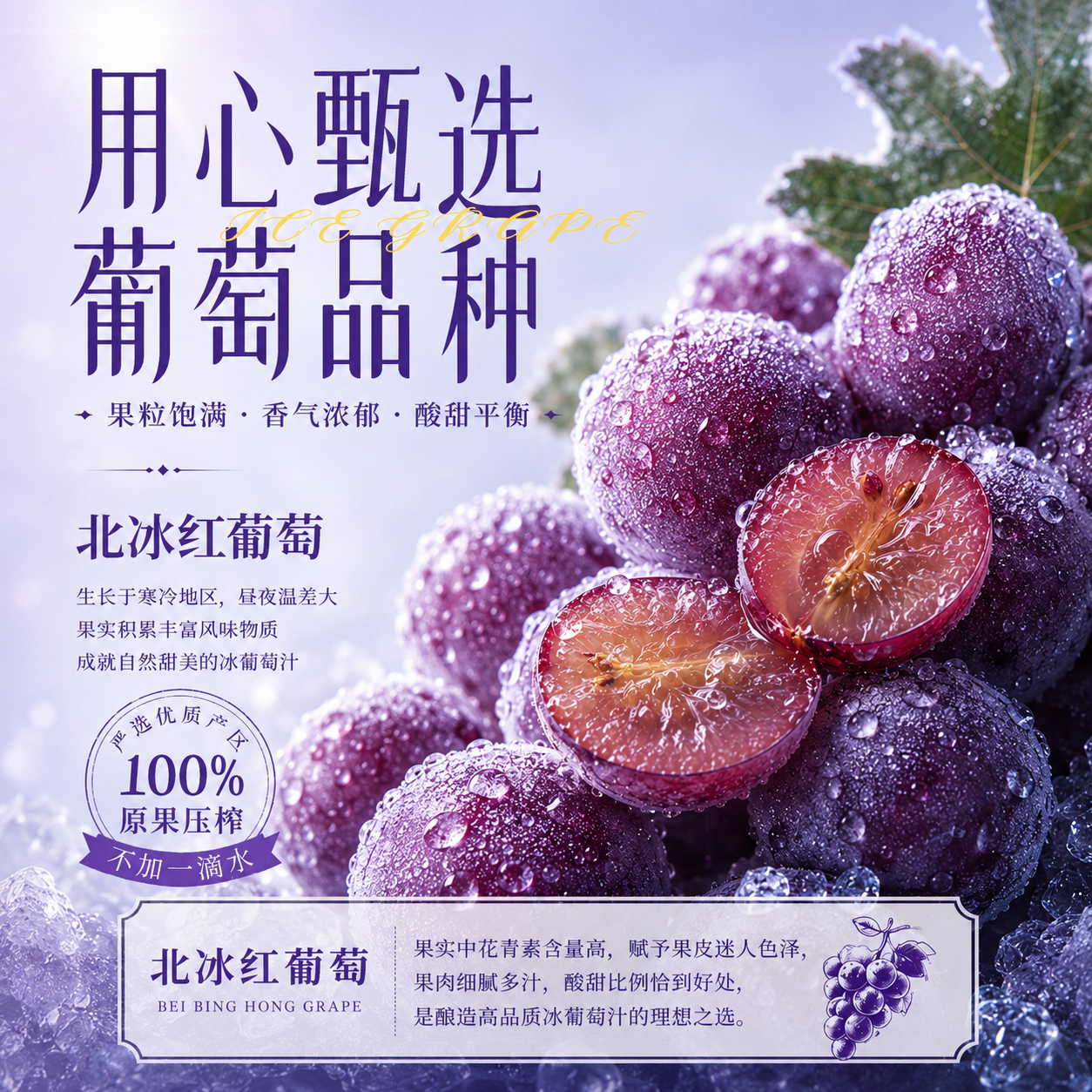 尚神厨长白山nfc果汁100%冰葡萄汁果汁葡萄原汁不加水330ml*6瓶 北冰白葡萄汁330ml*12瓶【两箱】
