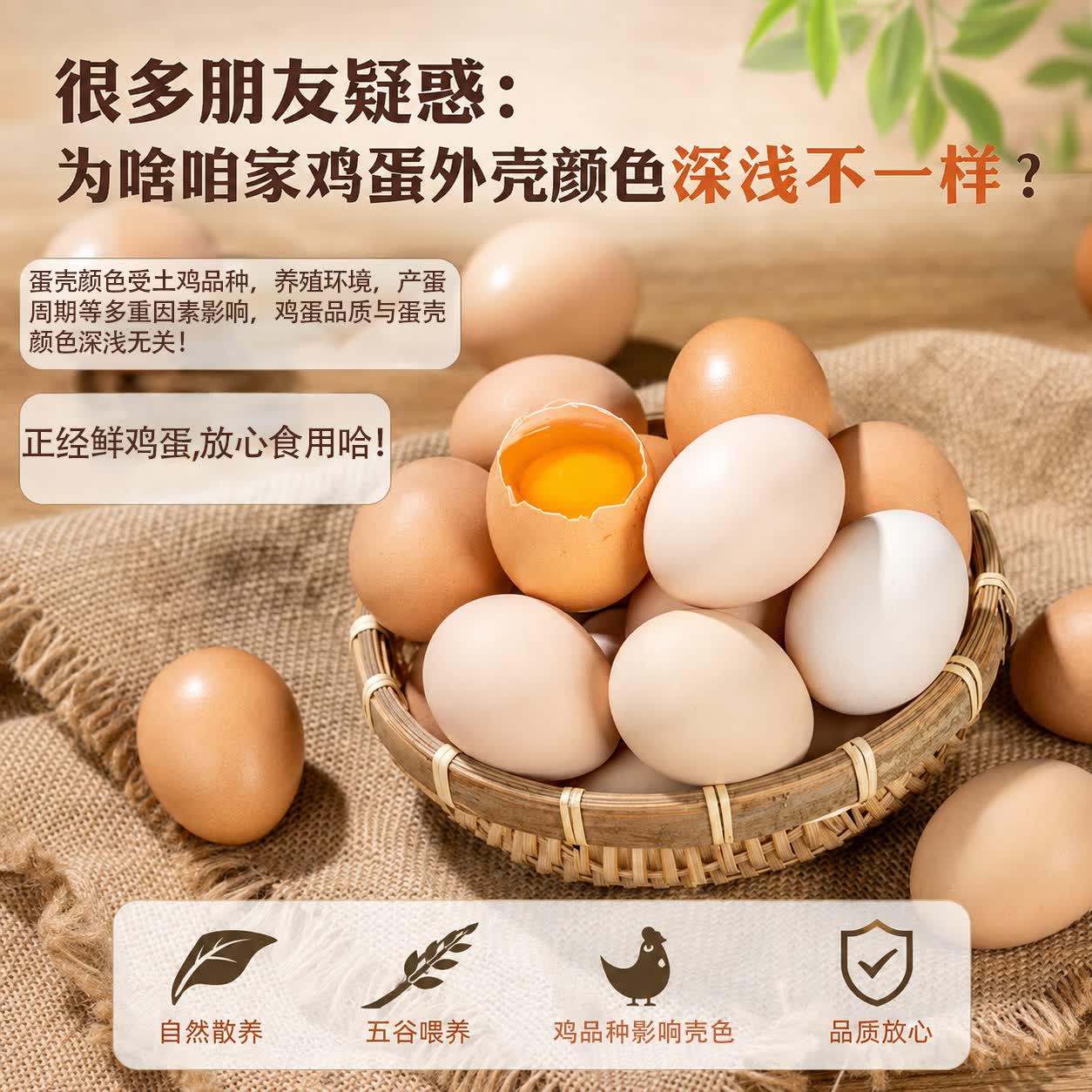 臻选鲜鸡蛋 约40g/枚 4枚净重不低于160g 商品图片2